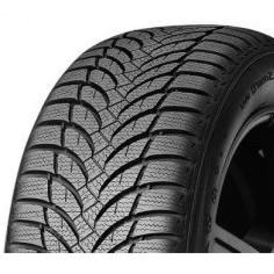 Nexen WinGuard Snow'G WH2 205/55 R 16 91T